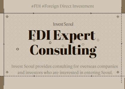 FDI expert consulting image